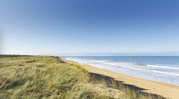 Plages sauvages au nord des Sables